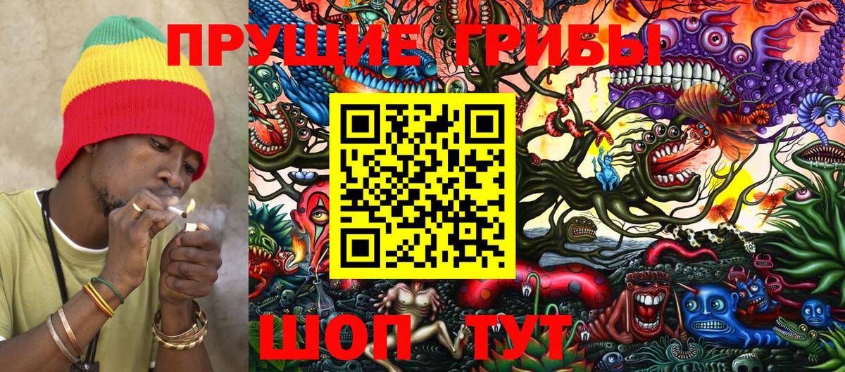 Галлюциногенные грибы Psilocybe  где купить наркоту  Лыткарино  Вход с VPN 
